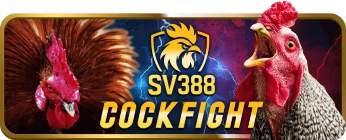 Sic Bo Trực tuyến tại VN88TOP